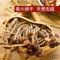 福建特产新鲜鲜嫩古田不开伞茶树菇干货煲汤菌包农家产地直供