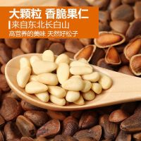 净重散装大颗粒 批发东北开口松子野生原味笨炒手剥松子100g-250g
