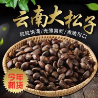 云南特产野生黑松子休闲好吃的零食坚果散装批发 非 东北开口松子