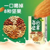每日坚果植物奶核桃花生早餐奶250ml*6盒饮料饮品整箱批发便宜特价非牛奶