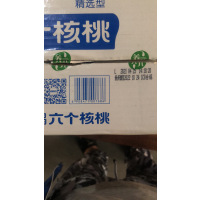 养元六个核桃整箱240*20