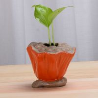 封后绿萝水培花瓶时钟菠萝迷你花盆水养植物创意花器桌面摆件陶瓷花盆 红莲藕水培花瓶(不含植物小石子)