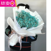 满天星干花大花束生日礼物女生闺蜜毕业照情人节圣诞花束礼物 FENGHOU 蓝色满天星星月中花束 关注送灯