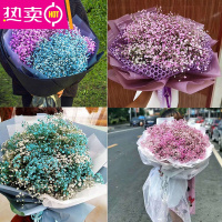 昆明鲜花云南直发速递同城干花真花风干满天星花束装饰摆件 FENGHOU 双色三色多色 标准 可任选 需加灯联系客服