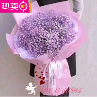 昆明鲜花云南直发速递同城干花真花风干满天星花束装饰摆件 FENGHOU 紫色 花束 标准 需加灯联系客服