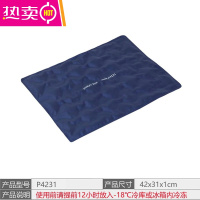 FENGHOU冰袋冰片冷板冰排重复使用蓄冷剂烘焙配送冷冻面团保温辅助保温箱