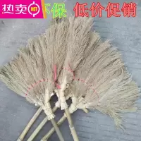 FENGHOU芦花扫帚 芦苇扫帚 装潢扫把 扫细灰扫把 清洁用品大扫帚