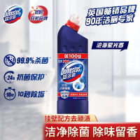 蓝多霸长效洁净洁厕啫喱沧海星光香 600g