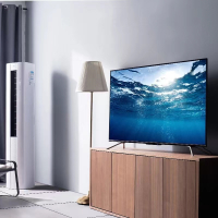 苏宁极物小Biu智慧屏65X1 65英寸 4K高清全面屏免遥控AI声控电视机智慧屏(可开票,电联客服)