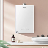 海尔(Haier)燃气热水器16升天然气 WN5S(可开增票)