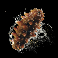 仙妻 大连深海即食辽刺参 500克(6—8)头