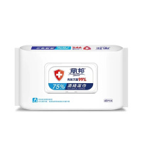 LS4011丽邦75％酒精湿巾40片