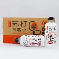 农夫山泉苏打气泡水白桃味500ml