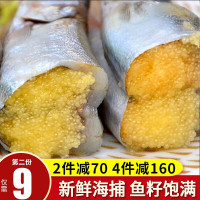 渔哥头等舱 多春鱼满籽加拿大多春鱼新鲜带籽海鲜约500g烧烤食材 多春鱼500g