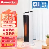 格力(GREE)取暖器 家用 暖风机 热风机 电暖扇 NTFH-20z 格力 取暖器 电暖扇 NTFH-20z