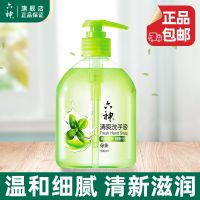 六神[绿茶500ml]清爽洗手液按压瓶家用瓶装批发清爽清香型泡沫