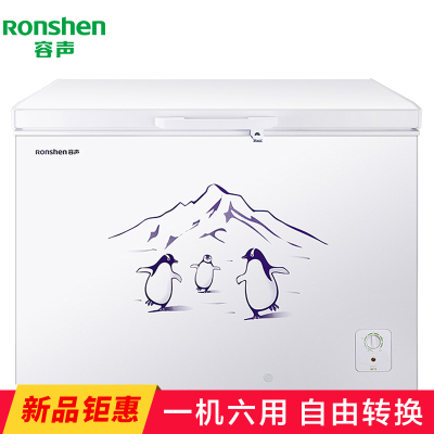容声(Ronshen)BD/BC-309MD 309升卧式大冷冻柜 冷藏冷冻转换一级能效冷柜