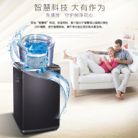 [拍前联系客服]卡萨帝(Casarte)C809 100MSU1 10KG直驱变频波轮洗衣机 双动力免清洗 晶钻紫