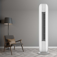 [天天低价]格力 2匹 云恬 新一级能效 变频 自清洁 智能 客厅空调立式空调柜机(KFR-50LW/NhJa1BG)