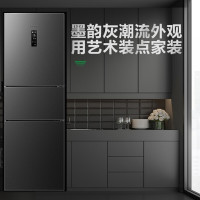 容声(Ronshen) BCD-252WD18NP 252升三开门冰箱 一级能效 无霜变频
