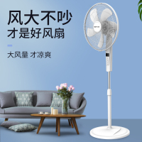 [先锋臻选]先锋(SINGFUN) FS40-20AR/DD2017 白色 落地扇 遥控立式风扇定时凉风扇大风量5叶