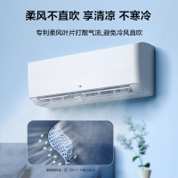 TCL KFRd-26GW/D-XG21Bp(B1)大1匹 锦鲤 新一级能效空调节能冷暖家用挂壁式挂机