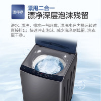 海尔(Haier)洗衣机 XQB120-BZ3088 12公斤直驱变频全自动波轮洗衣机大容量家用商用除菌洗直驱变频
