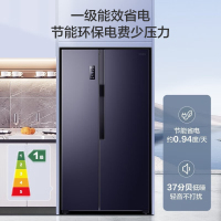 容声(Ronshen)BCD-609WD11HP 609升变频一级能效对开门双开门冰箱 无霜离子除菌大容量