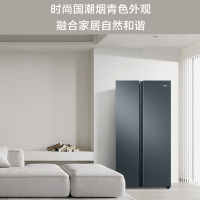 海尔(Haier) BCD-616WGHSSEDC9 冰箱616升对开门超薄嵌入冰箱 鲸式储量 黑金净化 双变频一级能效