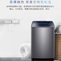海尔(Haier)XQB90-BM12699 洗衣机 9公斤1级能效全自动波轮洗衣机家用大容量直驱变频智能预约称重筒自洁