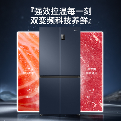 海尔(Haier) BCD-467WGHTDEDB9 冰箱 467升容量 一级能效 双变频 母婴空间嵌入式冰箱星石蓝