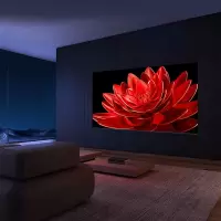 TCL 75T8G Max 75英寸 QLED量子点 120Hz MEMC 4+64GB 液晶智能平板电视机