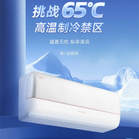 [天天低价]格力  KFR-35GW/(35562)FNhAa-B1 冷静王+1级能效智能变频冷暖挂机空调大风量省电