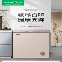 容声(Ronshen)BD/BC-145ZMSM 立式单温柜顶开门电冰柜一级能效节能低噪家用商用冷藏冷冻转化冷柜