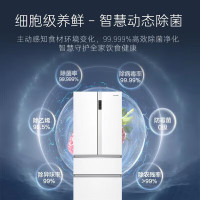 卡萨帝(Casarte)星悦550升零嵌入式法式多门家用电冰箱一级能效变频双系统BCD-550WGCFDM4WKU1