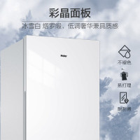 海尔(Haier)308升两门二门双开门BCD-308WLHC2DEW1小户型家用电冰箱净味一级能效无霜宿舍租房办公室