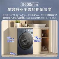 小天鹅小乌梅10公斤滚筒洗衣机全自动超薄全嵌 高端蓝氧TG100MS09LZ单洗