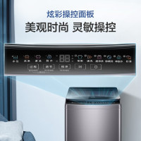 海尔(Haier)波轮洗衣机全自动10公斤直驱变频1级LED屏自编程除螨洗专用桶自洁速洗XQB100-BZ316