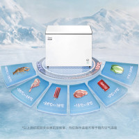 [元旦直补]美的BD/BC-145KMC 145升冷藏冷冻转换两用冰柜家用冷柜单温小冰箱 一级能效省电 极地白