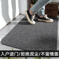 艾洛苏 现代家用入户门口PVC丝圈地垫门厅地垫防滑刮泥蹭土丙纶椰丝进门耐蹭除沙厨房办公室门垫蹭脚垫垫子
