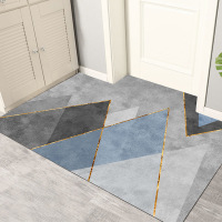 艾洛苏 清新ins地垫门垫入户门脚垫地毯进门客厅卧室厨房防滑脚垫吸水定制大门口地毯