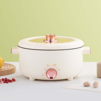 邦可臣电煮锅家用多功能煮饭炒菜锅电热火锅电炒锅学生宿舍小电锅火锅锅_米白色22cm