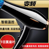 北央(BEIYANG)吹风机家用发廊大功率理发店专用电吹风大风力宿舍