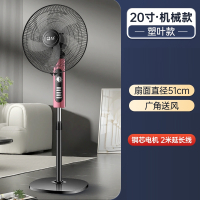 骆驼(CAMEL)电风扇落地扇家用立式遥控风扇宿舍电扇定时摇头智能_20寸5叶塑片旋钮定时