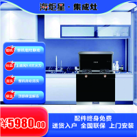 海炬星智能电器 海炬星 900-Q5 集成灶 电子脉冲点火