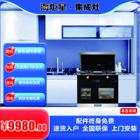 海炬星智能电器 海炬星 900-V10 集成灶 电子脉冲点火