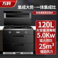 万科集成灶 JJZY-A 一体灶家用 厨房保洁柜一体吸烟机保洁柜 JJZT-A