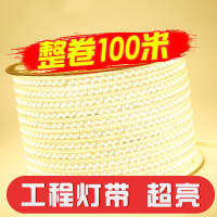 100米装工程灯带客厅led三色变色超亮户外装饰防水霓虹软灯条220v