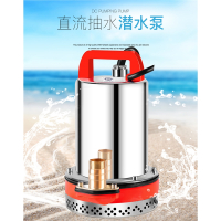 直流潜水泵12V抽水机24V48V60V伏家用电瓶车阿斯卡利(ASCARI)小型电动车农用抽水泵
