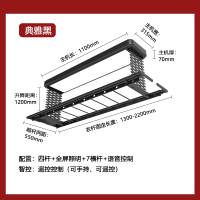 志高(CHIGO)电动烘干晾衣架自动升降凉衣架家用阳台智能遥控语音晾衣杆_典雅黑四杆全屏照明7横杆语音控制包_中